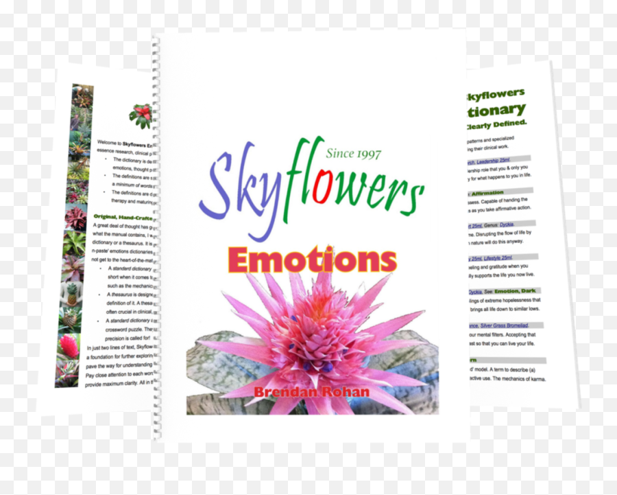 International Kinesiology Week 2019 Skyflowers Since 1997 - Language Emoji,Emotion From Grass