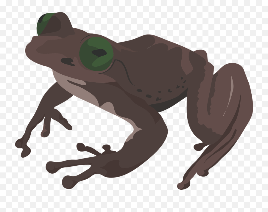 Free Frog Clipart Emoji,Spadefoot Toad Emotion