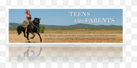 Kristina Harter Phd - Halter Emoji,Horse Facial Emotions