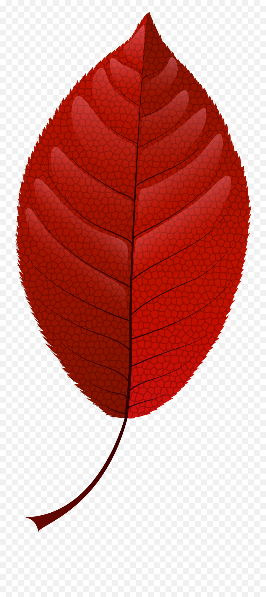 Fall Leaves Clip Art Png Transparent Png - Full Size Clipart Emoji,Fall Leaf Emoji