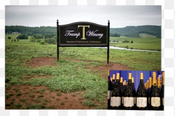 Welchu0027s Grape Jelly With Alcoholu201d How Trumpu0027s Horrific Wine Emoji,Free Trimp Emojis