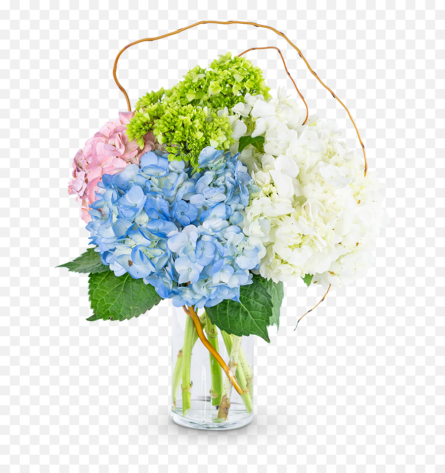 Sweet Hydrangea Grand Rapids Florist Crescent Floral Emoji,Jamac Petit Four Sweet Emotions