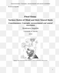 Doc Theories Of Consciousness And Their Neural Correlates Emoji,Emotions Univerally Defined