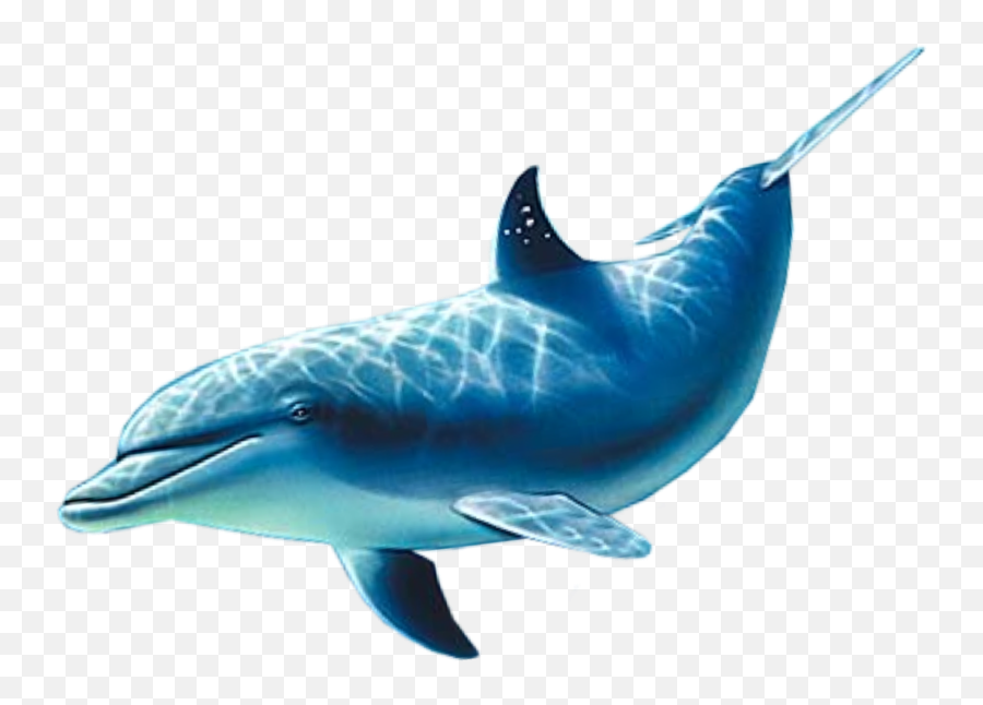 The Most Edited - Common Bottlenose Dolphin Emoji,Dolphin Emoji Pillow