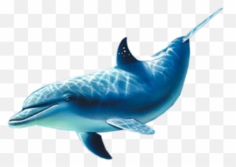 The Most Edited - Common Bottlenose Dolphin Emoji,Dolphin Emoji Pillow