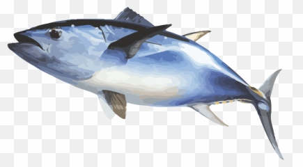 Free Fish Gif Transparent Download Free Clip Art Free Clip - Albacore Emoji,Fishing Emoji Gif