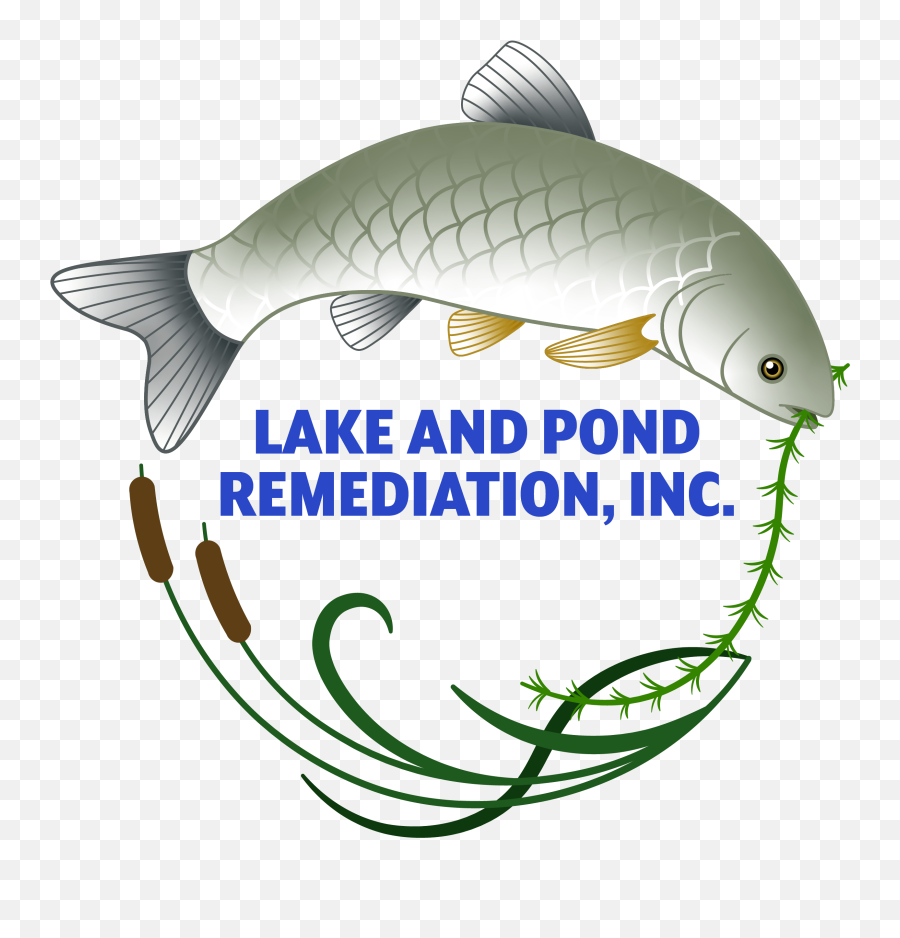 Lake And Pond Remediation Inc - Cypriniformes Emoji,Emoji Pond Florida