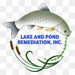 Lake And Pond Remediation Inc - Cypriniformes Emoji,Emoji Pond Florida