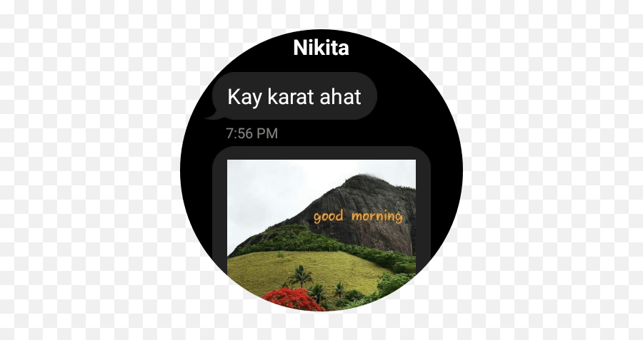 How To Use Whatsapp On Galaxy Watch 4 - Tizenhelp Emoji,How Can Galaxies Get The New Emojis