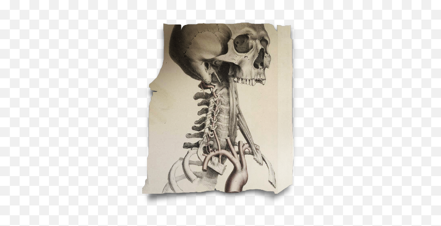 Writing On The Ether The Monsters We Create U2022 Jane Friedman Emoji,Example Of Frankenstien Creation Showing Emotion Writing On The Ether The Monsters We Create U2022 Jane Friedman Emoji,Example Of Frankenstien Creation Showing Emotion