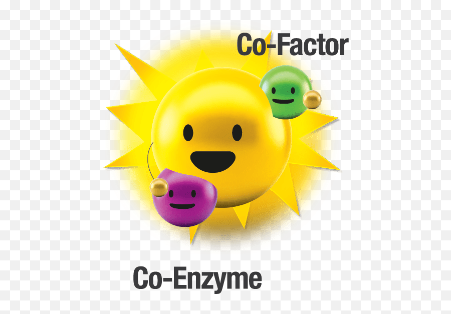 Zencoso Chewable Ball - Trojmiasto Pl Emoji,Accessible By Using Tomato Head Emoticon
