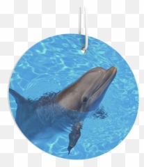 En - Common Bottlenose Dolphin Emoji,Dolphin Emoji Pillow