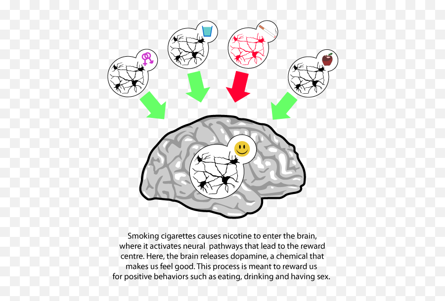 Pin On Quit Smoking - Long Term Effects Of Nicotine On The Brain Emoji,Do2learn Emotions
