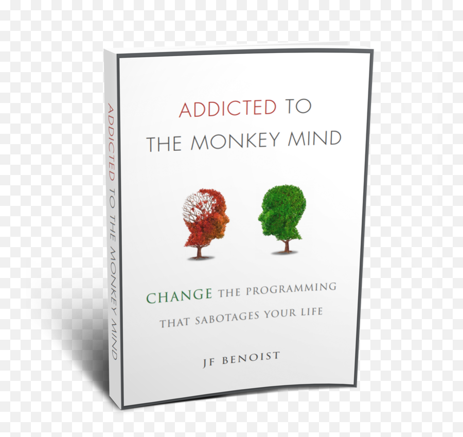 Blog - Addicted To The Monkey Mind Emoji,Model For Describing Emotions Dbt-simplified