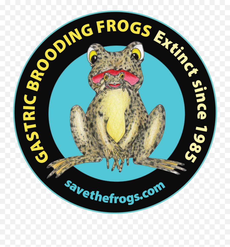 Cool Frog Facts - Cdl Sao Domingos Do Prata Emoji,Spadefoot Toad Emotion