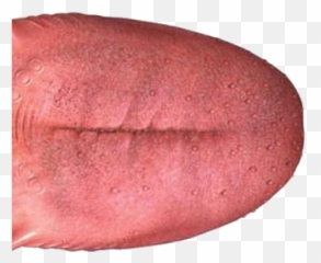 Tongue Png Images Free Download Emoji,System Emoji With Tounge
