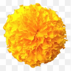 Marigold Flowers Png Pic Emoji,Free Bouquet Of Flowers Emoji