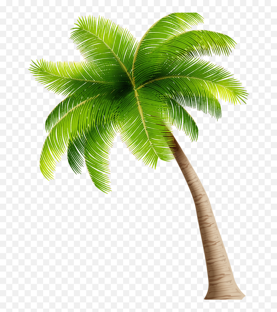 Plan Your Trip H2oasis Waterpark Emoji,Palm Tree Island Emoji