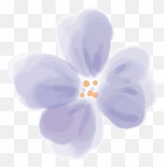Byherline U2013 Canva Emoji,Flower Emojis Jacaranda
