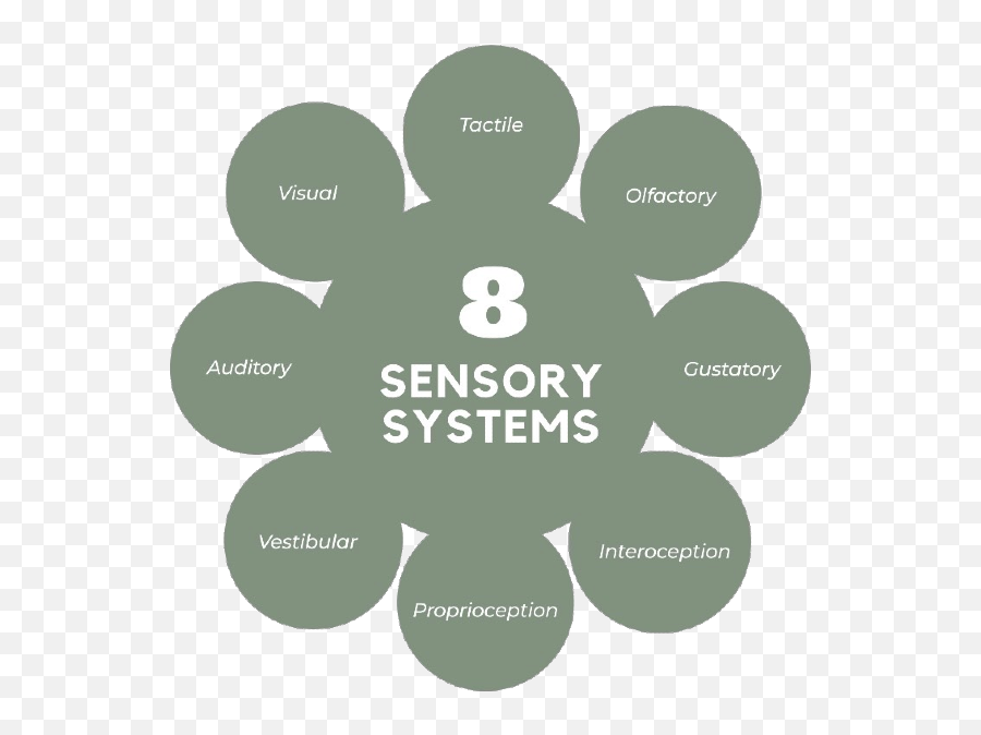 What Are The 8 Sensory Systems - Sensory For Dementia Service Systems Associates Emoji,Sensory Emotions