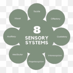 What Are The 8 Sensory Systems - Sensory For Dementia Service Systems Associates Emoji,Sensory Emotions
