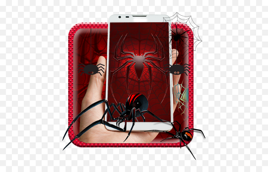 Animated Wild Spider Live Wallpaper - Smartphone Emoji,Spider Emoji