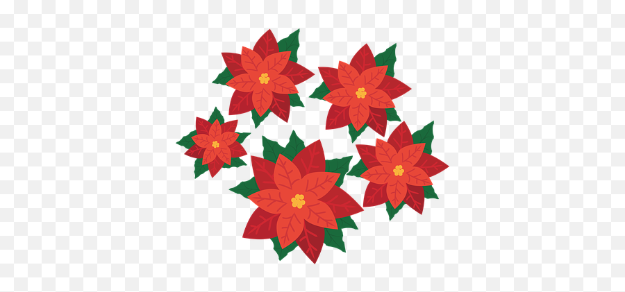 200 Free Red Flower U0026 Rose Vectors - Pixabay Poinsettia Facts For Kids Emoji,Red Flower Emoji