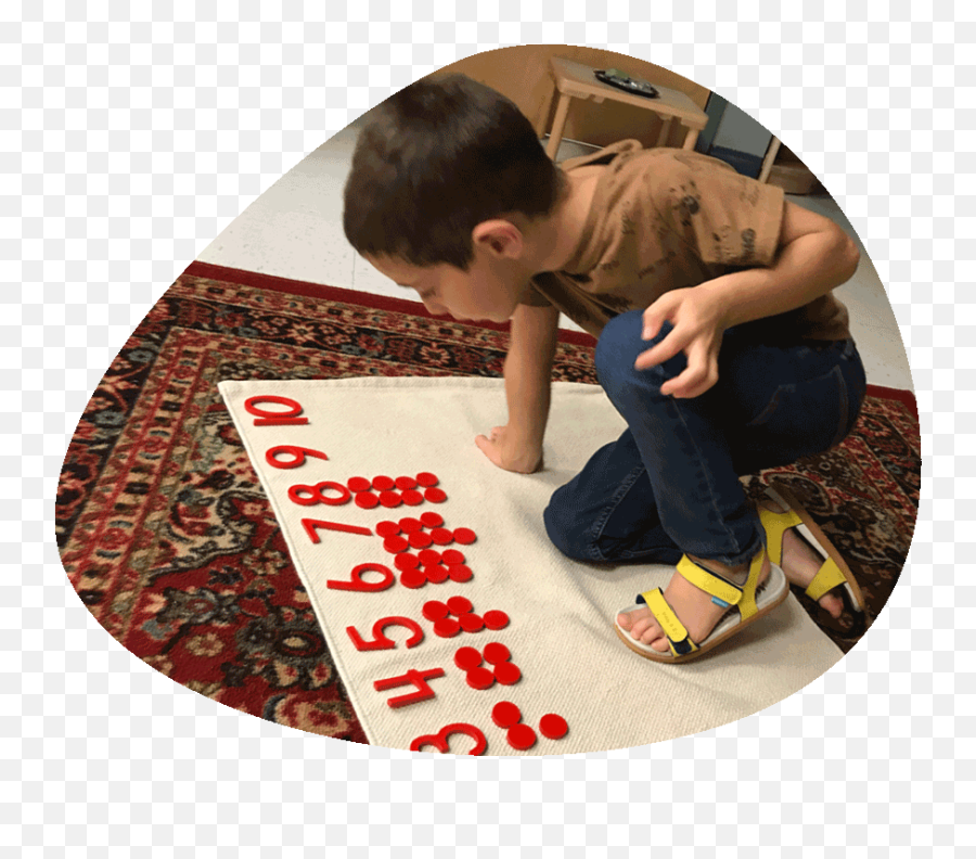 Williamsburg Montessori - Why Choose Montessori Boy Emoji,Emotion Leggett New Anthro Williamsburg Montessori - Why Choose Montessori Boy Emoji,Emotion Leggett New Anthro