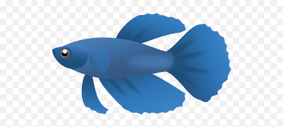 Free No Fish Cliparts Download Free Clip Art Free Clip Art - Betta Fish Clip Art Emoji,Fish Horse Emoji