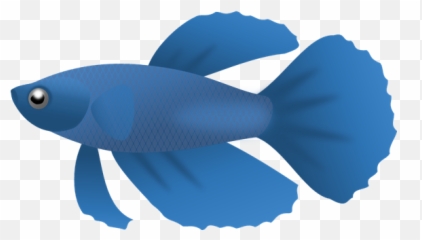 Free No Fish Cliparts Download Free Clip Art Free Clip Art - Betta Fish Clip Art Emoji,Fish Horse Emoji