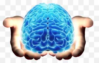 Mnemonics World - Brain In Hand Png Emoji,6 Emotion Mnemonic