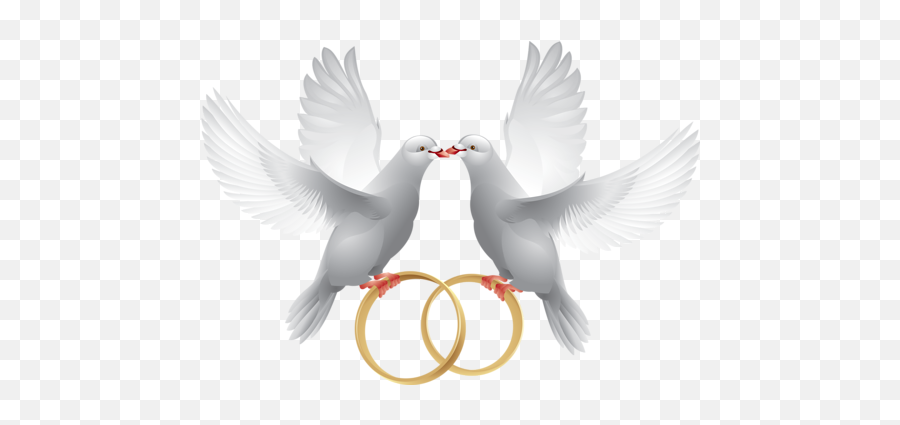 Anillos - Wedding Background Dove Emoji,Emojis Boda Novios Anillo