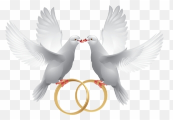 Anillos - Wedding Background Dove Emoji,Emojis Boda Novios Anillo