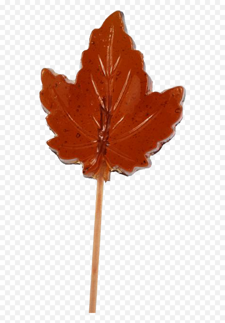 Maple Leaf - Maple Syrup Candy Lollipop Emoji,Free Red Maple Leaf Emoji