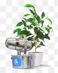 Residential U0026 Commercial Disinfectant Fogging Service - Go Emoji,Like Living In A Fog Of Emotion Quote