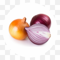 Eden Grow Tower Emoji,Windows Onion Emoji Vector??????