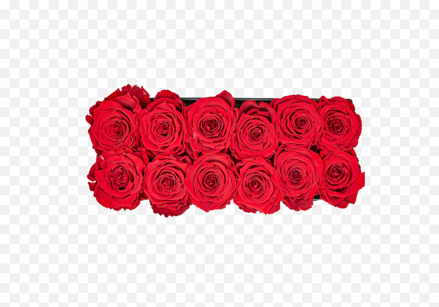 The Keeper By The Dozen U2013 Rosepops Emoji,Whoa Emoji