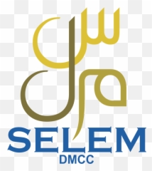 Smart Engineering Leadership Excellence - Selem Dmcc Logo Emoji,Emotion Solar Pmp