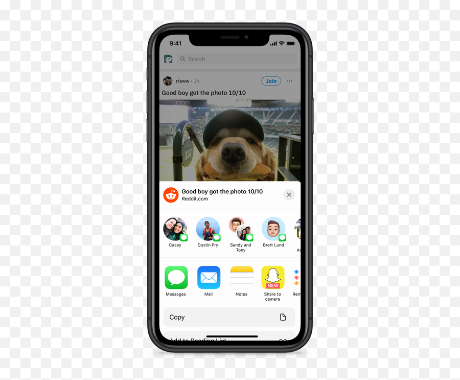 Reddit Now Lets Ios Users Share To Snapchat Techcrunch - Snapchat Sharing Emoji,Sheep Dogs Get Cut Down To Be Cooler Smile Emoticon