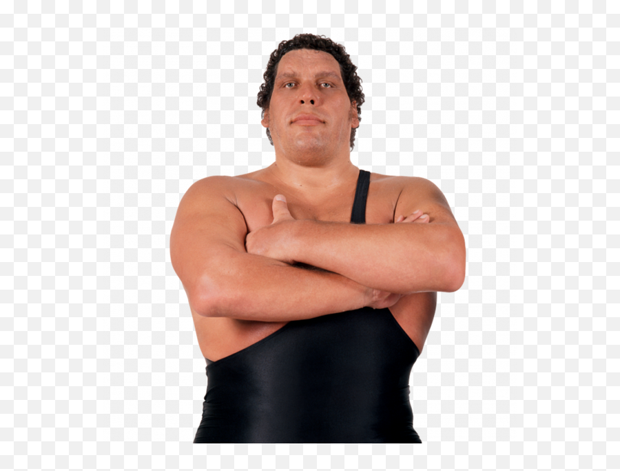 Fight Between Andre The Giant - Andre The Giant Emoji,Steven Seagal Emotions