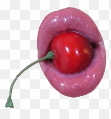 Cherry Blossom Emoji - Aesthetic Vaporwave Red Stickers,Picture Of A Cherry Emoji