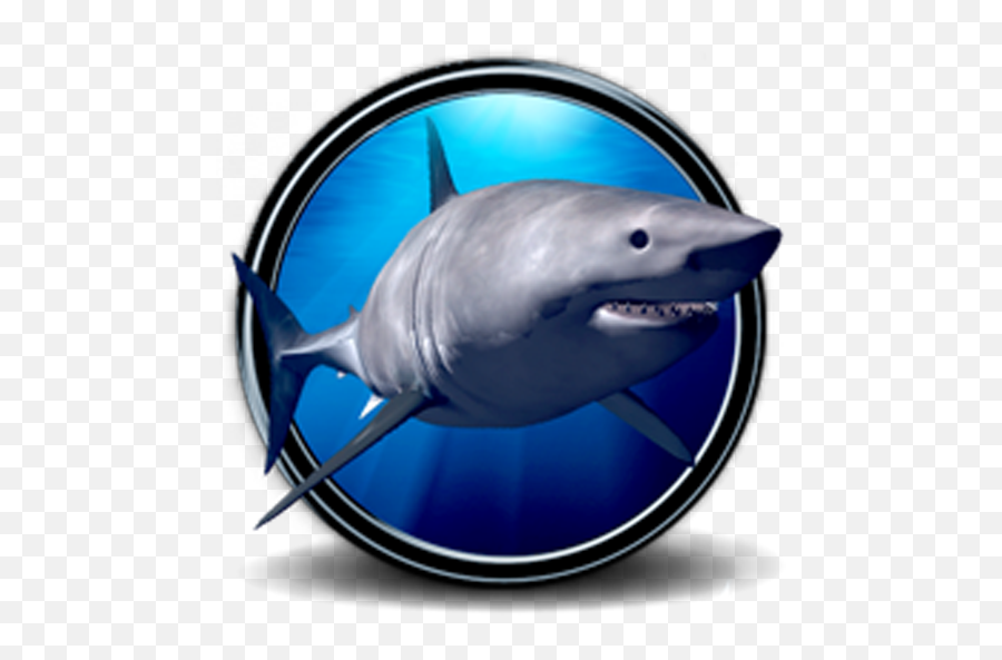 Great White Shark Real 3d 1 - Great White Shark Emoji,Shark Emoji Android