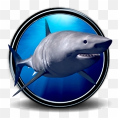 Great White Shark Real 3d 1 - Great White Shark Emoji,Shark Emoji Android