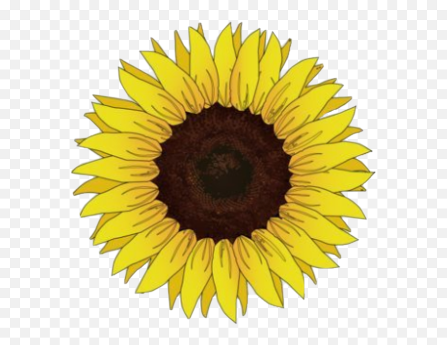 Sticker By U2022 - Sunflower Sticker Emoji,Black And White Flower Emoji