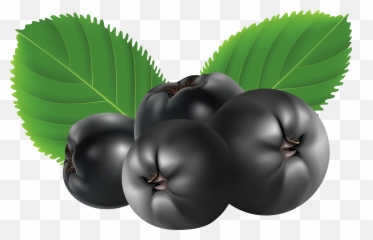 Cartoon Blueberries Transparent - Clip Art Library Emoji,Blueberries Emoticon Whatsapp