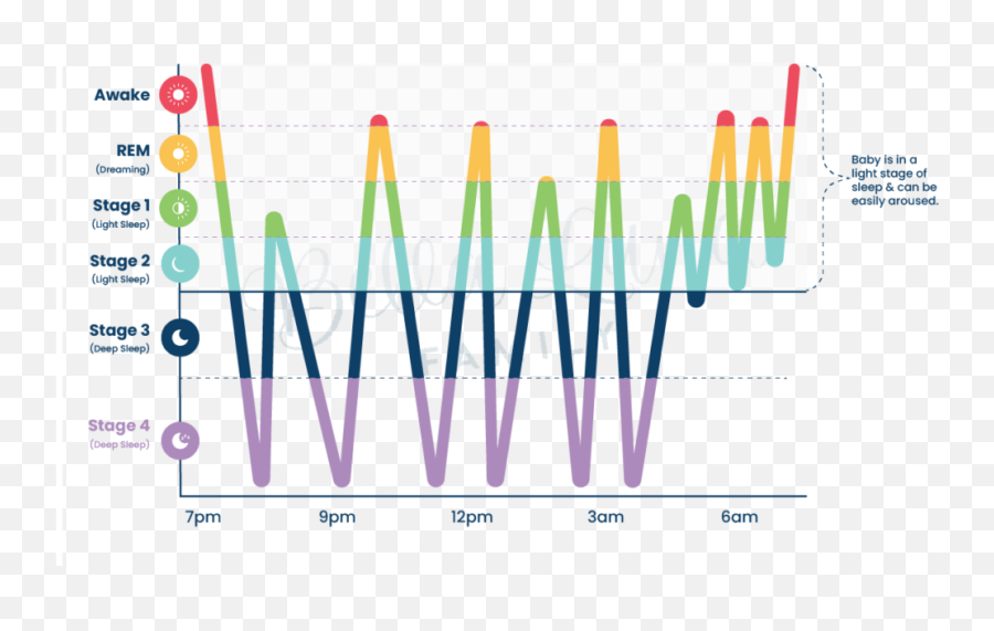 Baby Sleep Cycles Explained Bella Luna Family Emoji,Female Hormone Cycle Chart Emotions