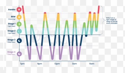 Baby Sleep Cycles Explained Bella Luna Family Emoji,Female Hormone Cycle Chart Emotions
