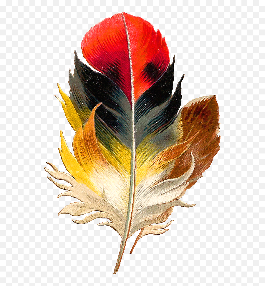 Bird Feather Png Photo Png Arts Emoji,Feather Emojis