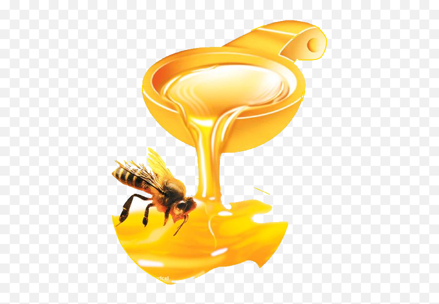 Honey Png Pictures Hd - High Quality Image For Free Here Emoji,Honey Pot Emoji