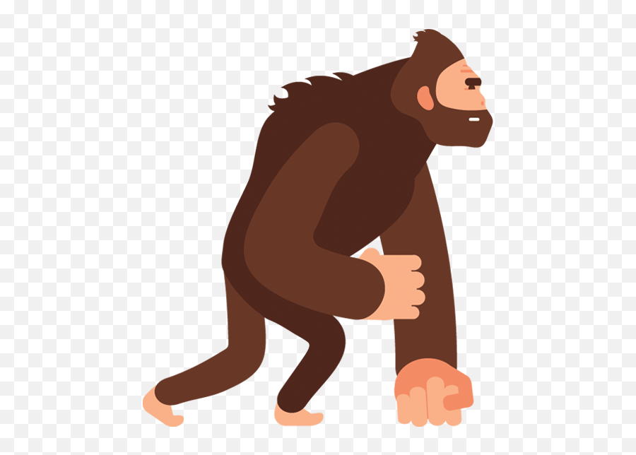 Radapes Nft Emoji,Orangutan Emoji Facebook